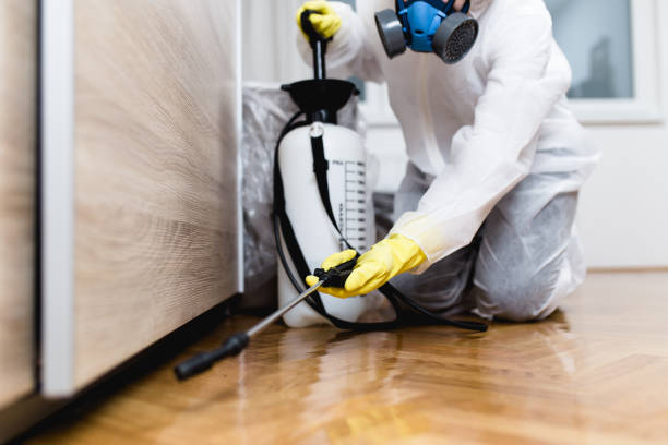Best Termite Control Services  in Grangeville, ID