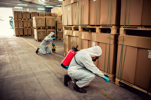Best Insect Control  in Grangeville, ID