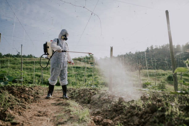 Best Pest Control Near Me  in Grangeville, ID