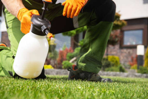 Best Pest Removal Services  in Grangeville, ID