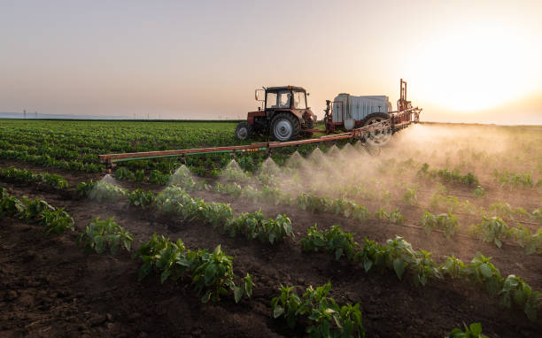 Best Pest Removal Services  in Grangeville, ID