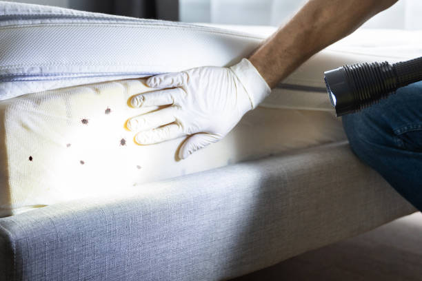 Best Commercial Pest Control Services  in Grangeville, ID