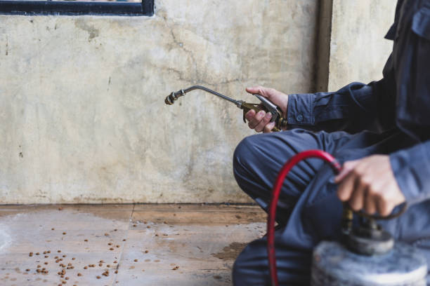 Best Pest Control Cost  in Grangeville, ID